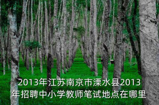 2013年江蘇南京市溧水縣2013年招聘中小學教師筆試地點在哪里