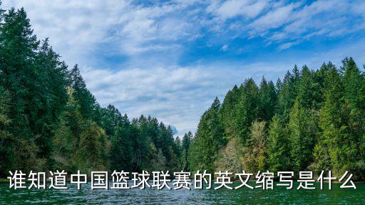 中國籃球聯賽，中國籃球聯賽每一節時間是多少分鐘