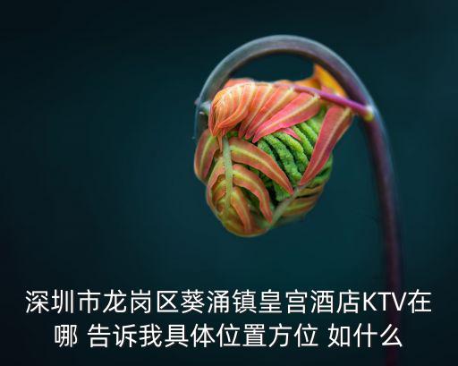 深圳市龍崗區葵涌鎮皇宮酒店KTV在哪 告訴我具體位置方位 如什么