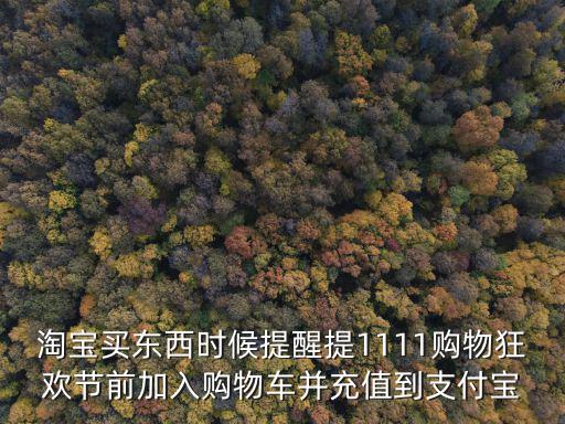 淘寶買東西時候提醒提1111購物狂歡節前加入購物車并充值到支付寶