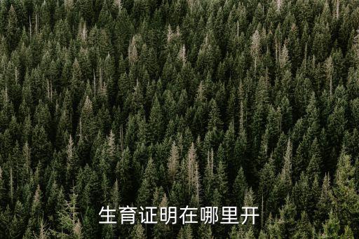 生育證明在哪里開，生育證明在哪里開