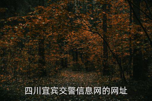 四川宜賓交警信息網的網址
