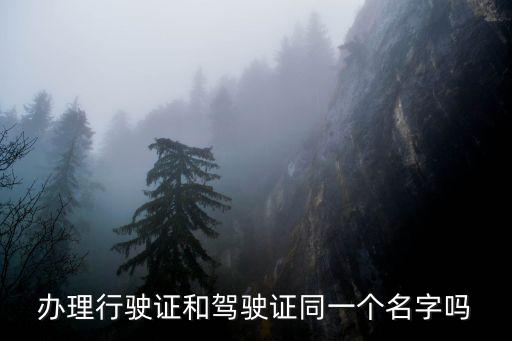 辦理行駛證和駕駛證同一個名字嗎
