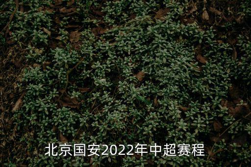 北京國(guó)安2022年中超賽程