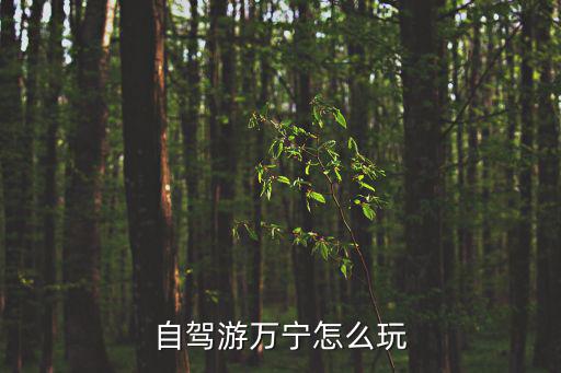 萬(wàn)寧旅游攻略，萬(wàn)寧市的旅游資源如何