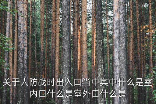 出入口，小區里的直的出入口叫什么