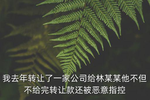 我去年轉讓了一家公司給林某某他不但不給完轉讓款還被惡意指控