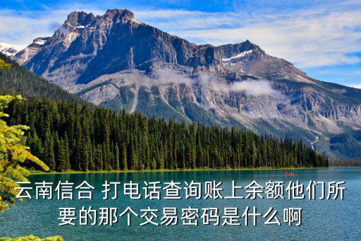 云南信合 打電話查詢賬上余額他們所要的那個交易密碼是什么啊