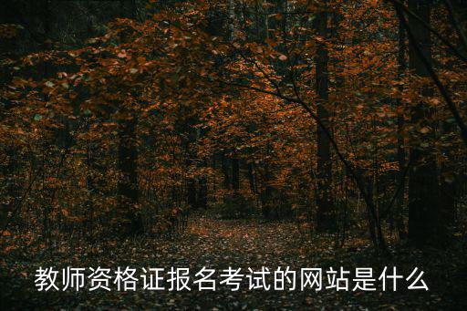 教師資格證考試官網，關于教師資格證的考試