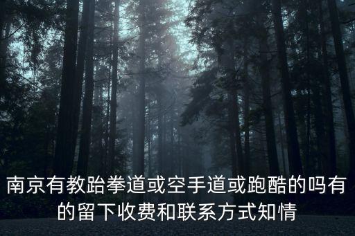 南京空手道館，南京鼓樓附近有沒有學空手道而且比較好的地方