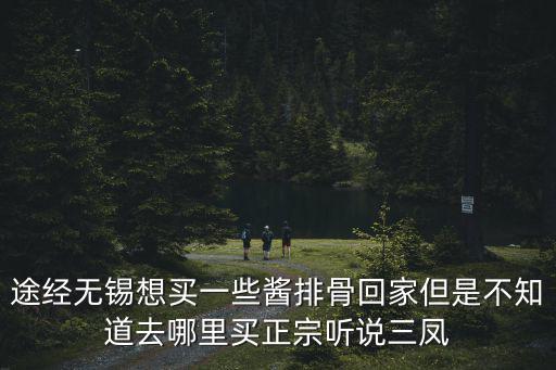 途經無錫想買一些醬排骨回家但是不知道去哪里買正宗聽說三鳳