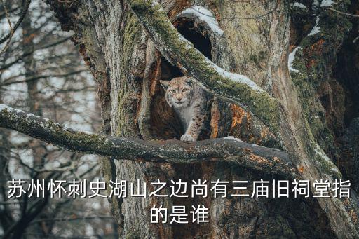 邱氏宗祠，請(qǐng)問(wèn)您是諸城邱氏宗親我是昌邑黑埠頭邱述寶能公二十世qq