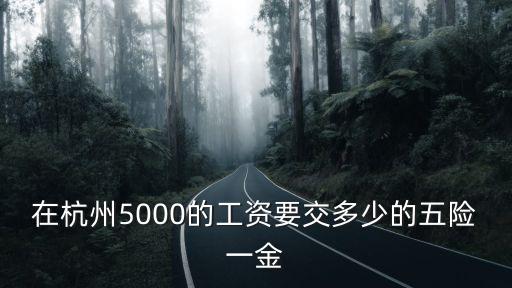 杭州五險一金，杭州五險一金制度
