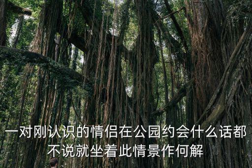 一對(duì)剛認(rèn)識(shí)的情侶在公園約會(huì)什么話都不說(shuō)就坐著此情景作何解