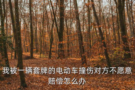 電動車套牌，電動車牌照可以用幾個車上