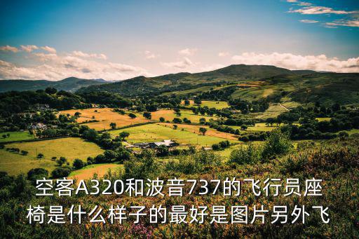空客A320和波音737的飛行員座椅是什么樣子的最好是圖片另外飛