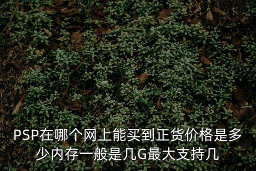 PSP在哪個網上能買到正貨價格是多少內存一般是幾G最大支持幾