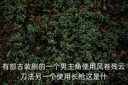 楊錦泉，樊少星與古巨基演的古裝電視劇名稱