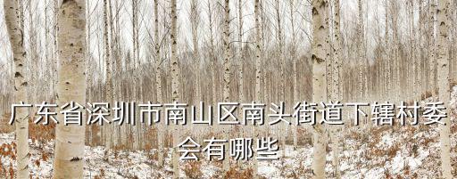 廣東省深圳市南山區(qū)南頭街道下轄村委會有哪些