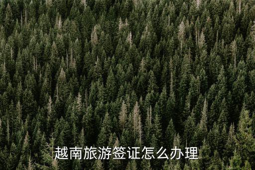 越南旅游簽證怎么辦理