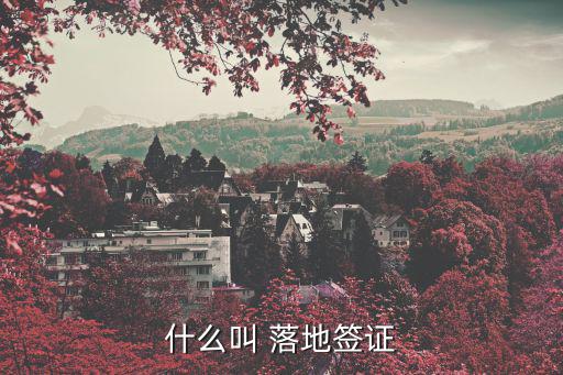 落地簽證，什么叫 落地簽證