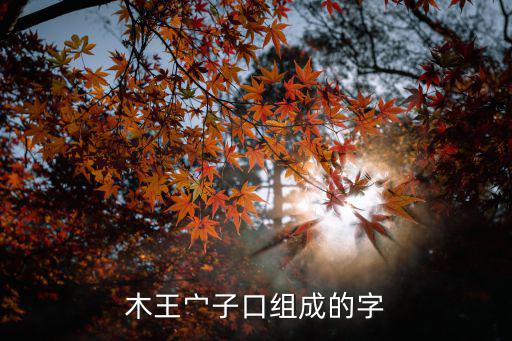 木王宀子口組成的字