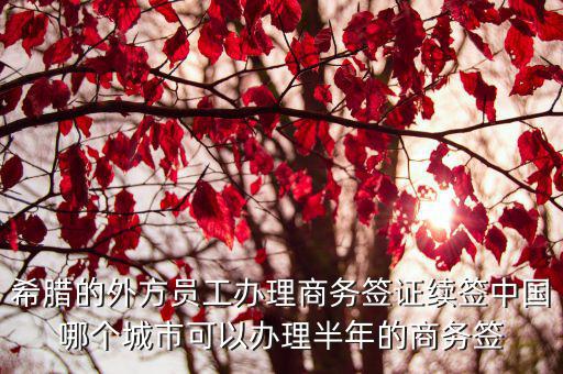 希臘的外方員工辦理商務簽證續簽中國哪個城市可以辦理半年的商務簽