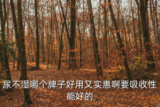 尿不濕哪個牌子好用又實惠啊要吸收性能好的