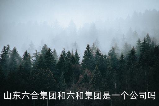 山東六合集團和六和集團是一個公司嗎