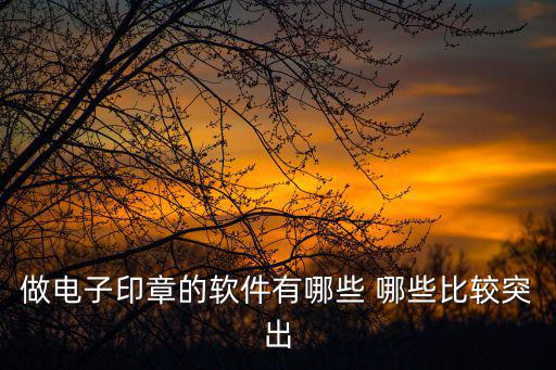 電子印章系統，做電子印章的軟件有哪些 哪些比較突出