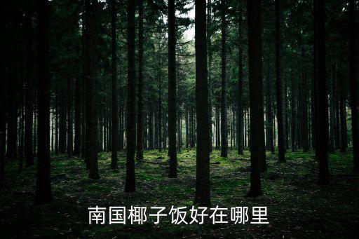 椰子飯，南國椰子飯好在哪里