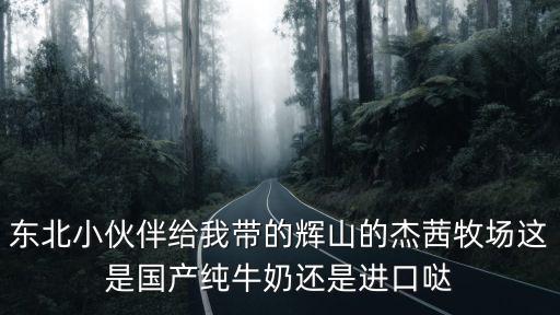 東北小伙伴給我帶的輝山的杰茜牧場這是國產純牛奶還是進口噠