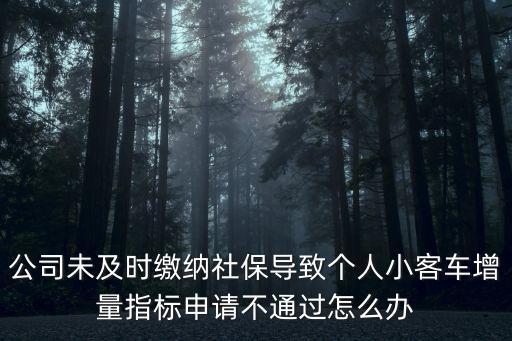 公司未及時繳納社保導致個人小客車增量指標申請不通過怎么辦
