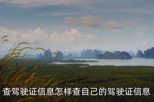 查駕駛證信息怎樣查自己的駕駛證信息