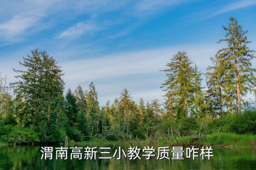 渭南高新三小教學質量咋樣