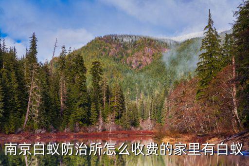 南京白蟻防治中心，南京白蟻防治費(fèi)用多少白蟻防治中心怎么走