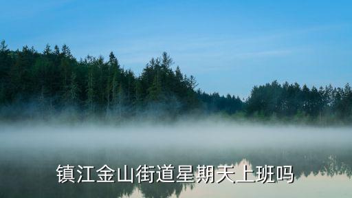 金山街道，金山街道社區服務衛生中心 乘幾路車可以到