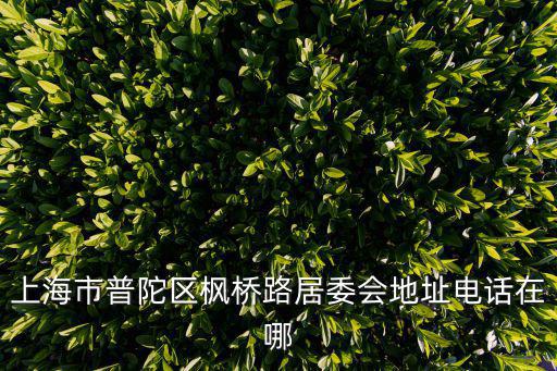 甘泉路街道，上海交暨路152號(hào)屬于哪個(gè)街道