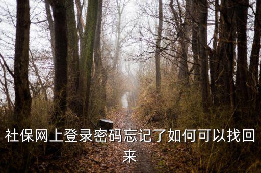 社保登陸，社保登記號上的登錄口令密碼是什么怎么獲取我去社保中心開通網
