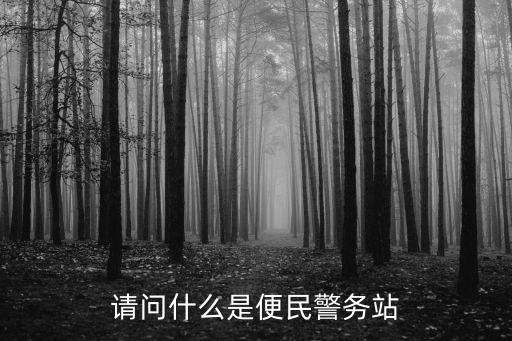請問什么是便民警務站