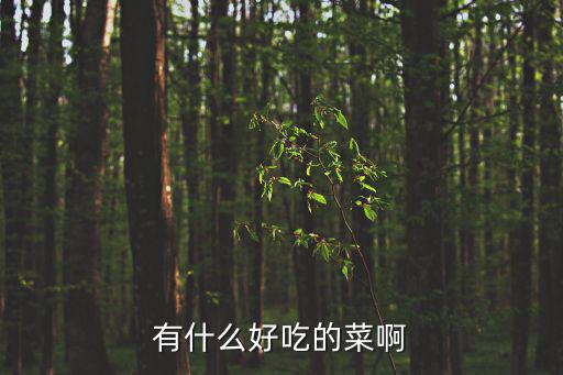 有什么好吃的菜啊