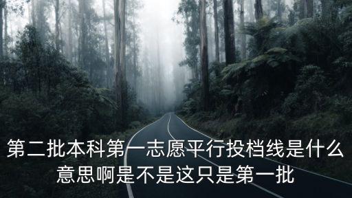 第二批本科第一志愿平行投檔線是什么意思啊是不是這只是第一批