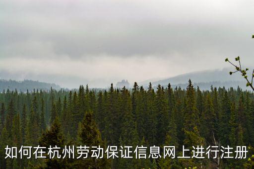 如何在杭州勞動保證信息網上進行注冊