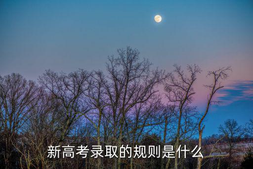 新高考錄取的規則是什么