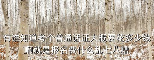 有誰知道考個普通話證大概要花多少錢啊就是報名費什么亂七八糟