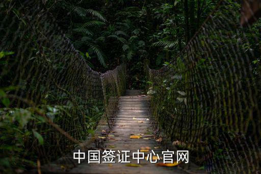 簽證中心，簽證中心一般什么時候轉送大使館