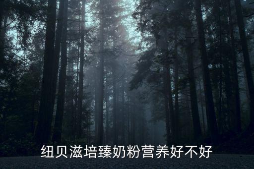 紐貝滋奶粉怎么樣，紐貝滋培臻奶粉營養好不好