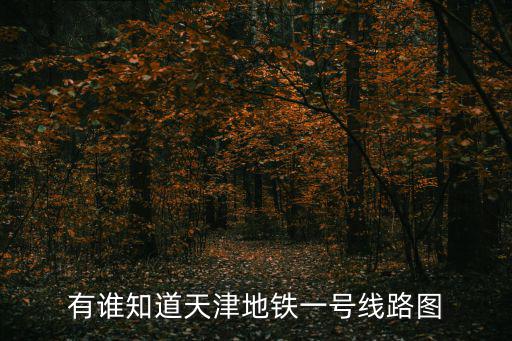 有誰知道天津地鐵一號線路圖