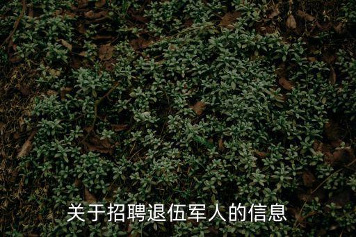 退伍軍人招聘，關(guān)于招聘退伍軍人的信息