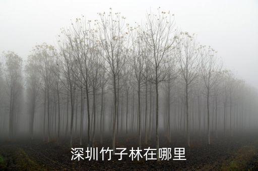 深圳竹子林在哪里